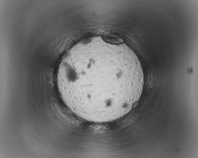 X0000114560512200911161227