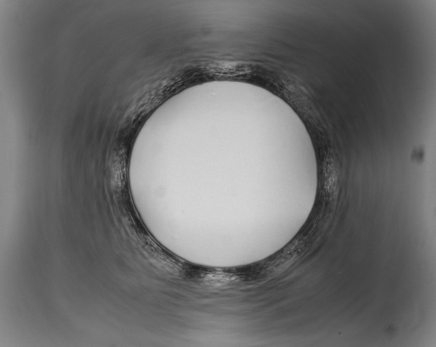 X0000114560515200911161227