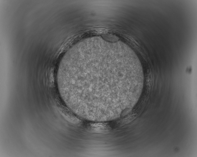 X0000114560516200911161227