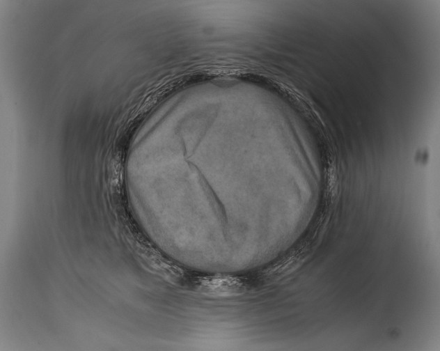 X0000114560517200911161227