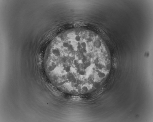 X0000114560519200911161227