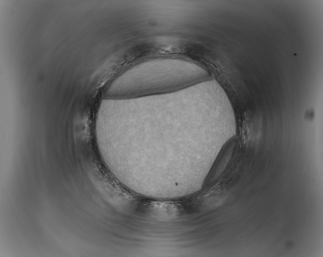 X0000114560520200911161227
