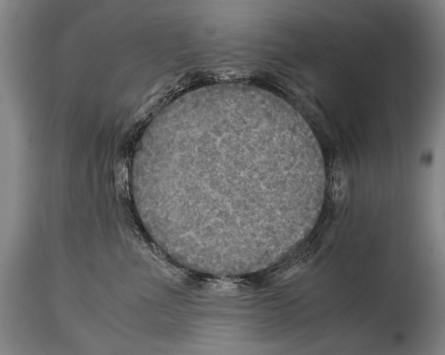 X0000114560523200911161227