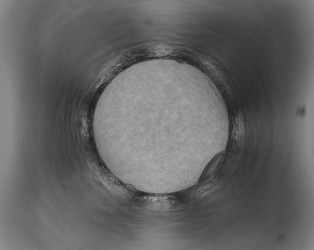 X0000114560524200911161227