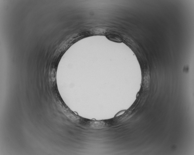 X0000114560525200911161227