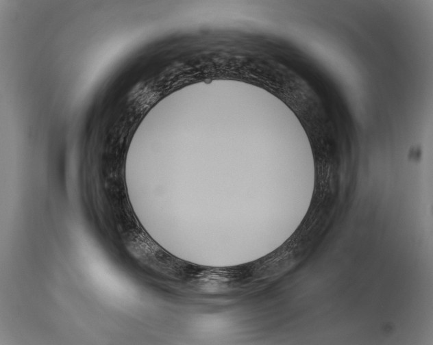 X0000114560526200911161227