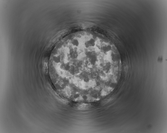 X0000114560527200911161227