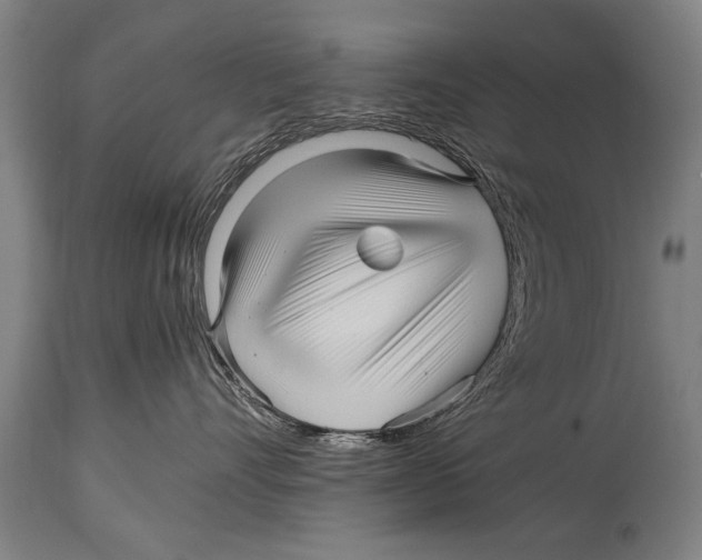 X0000114560528200911161227