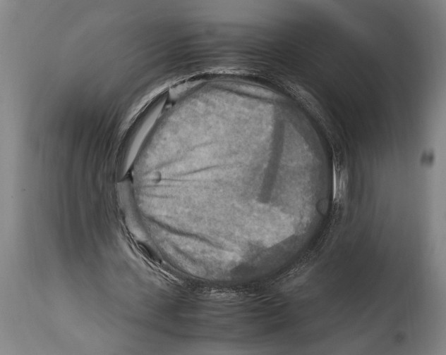 X0000114560531200911161226
