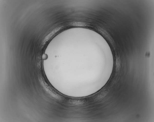 X0000114560533200911161226