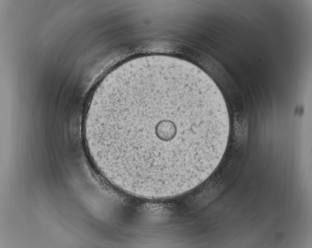 X0000114560534200911161226