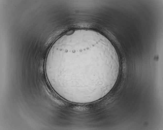 X0000114560537200911161226