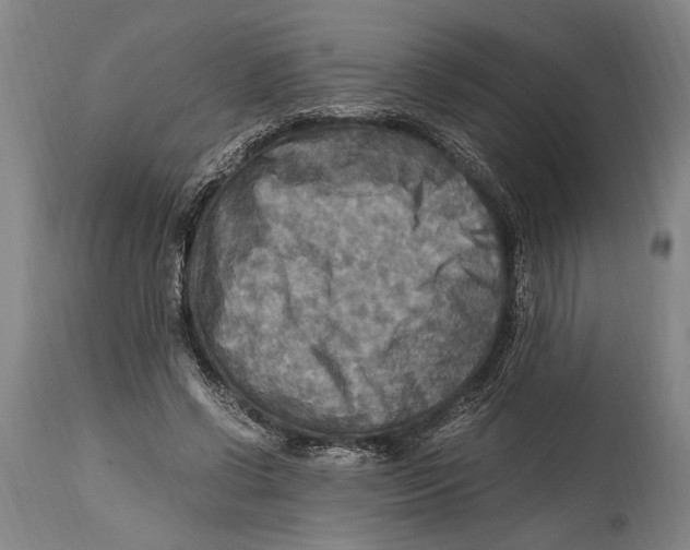 X0000114560542200911161226