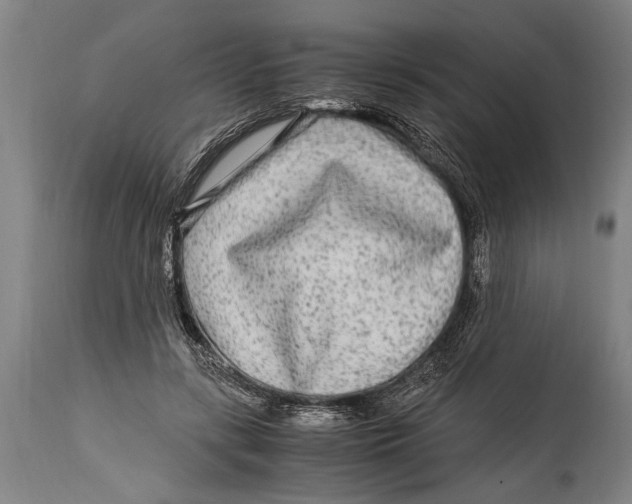 X0000114560547200911161226