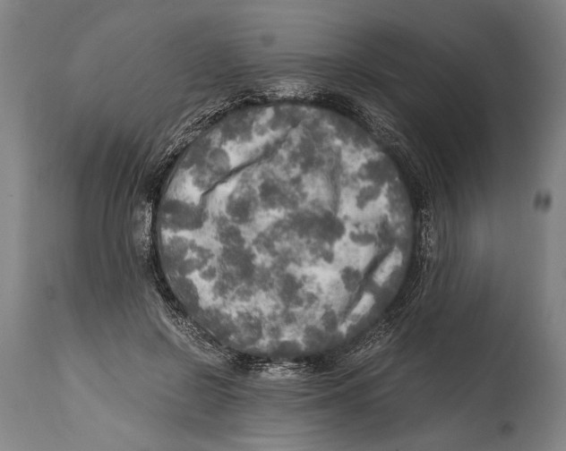 X0000114560550200911161226
