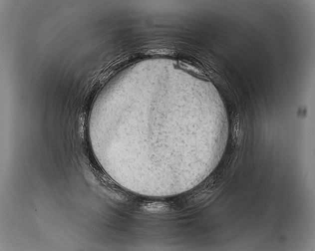 X0000114560551200911161226