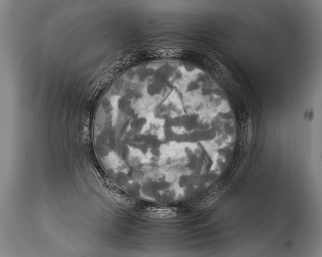 X0000114560553200911161226