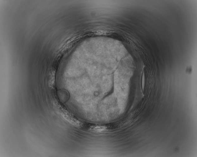 X0000114560554200911161226