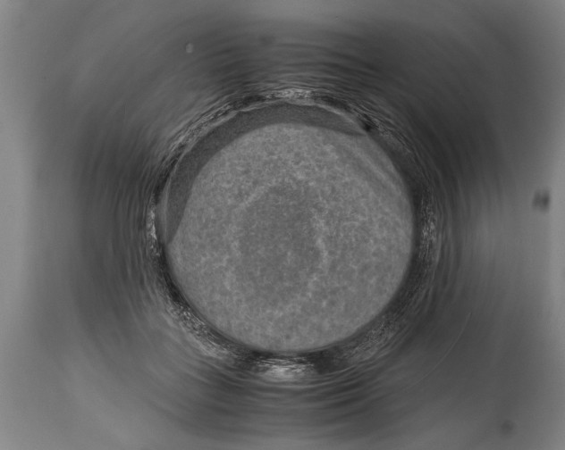 X0000114560555200911161226