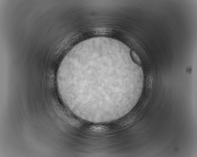 X0000114560557200911161226
