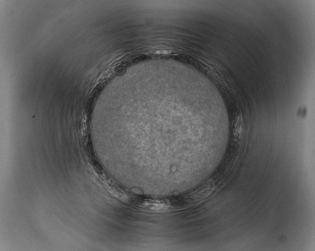 X0000114560559200911161226