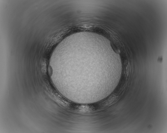 X0000114560562200911161226