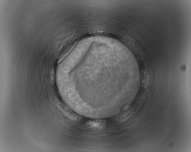 X0000114560563200911161226
