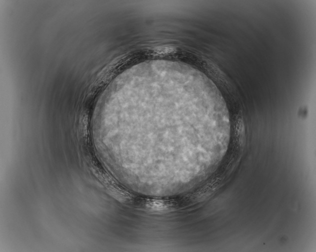 X0000114560565200911161226