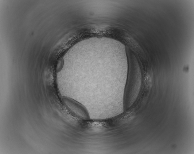 X0000114560566200911161226