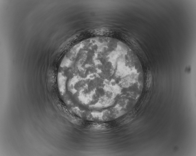 X0000114560569200911161226