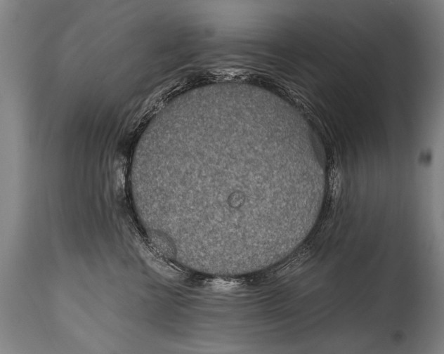 X0000114560570200911161227