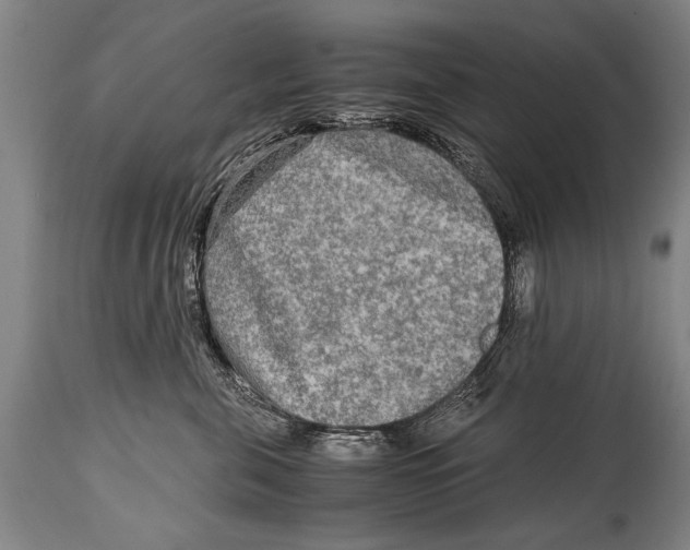 X0000114560571200911161227