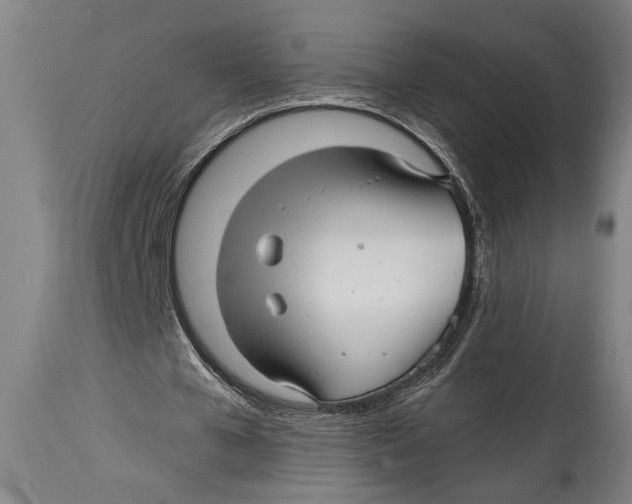 X0000114560577200911161226