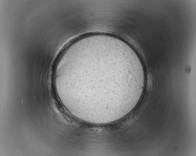 X0000114560580200911161226