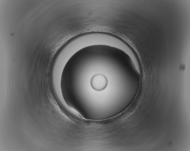 X0000114560581200911161226