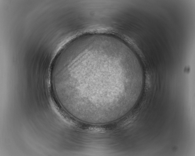 X0000114560582200911161226