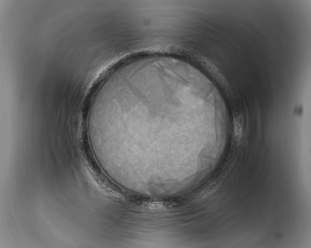 X0000114560588200911161226