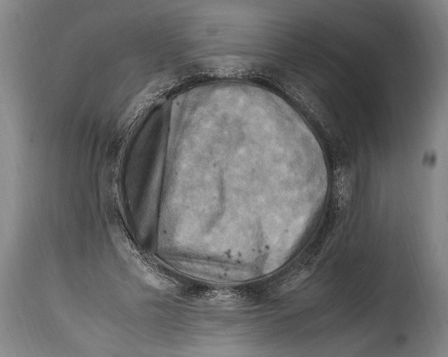 X0000114560589200911161226