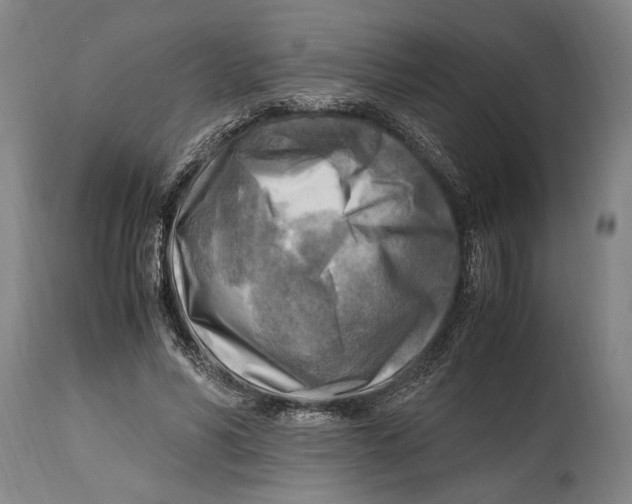 X0000114560590200911161226