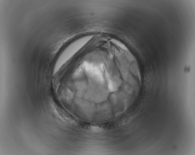 X0000114560592200911161226