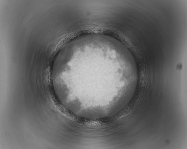 X0000114560594200911161226