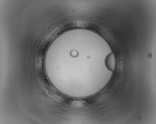 X0000114560595200911161226