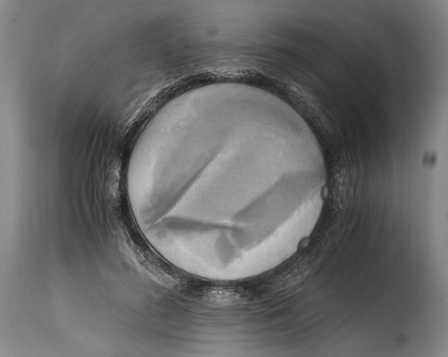 X0000114560596200911161226