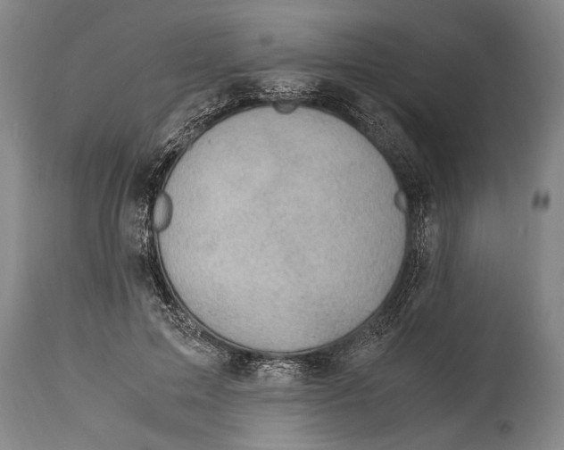 X0000114560599200911161226