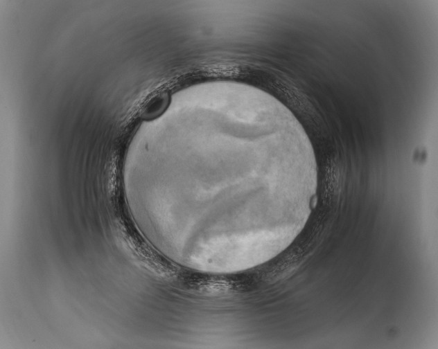 X0000114560600200911161226