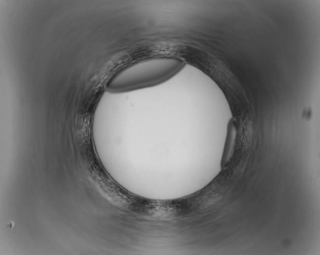 X0000114560601200911161226