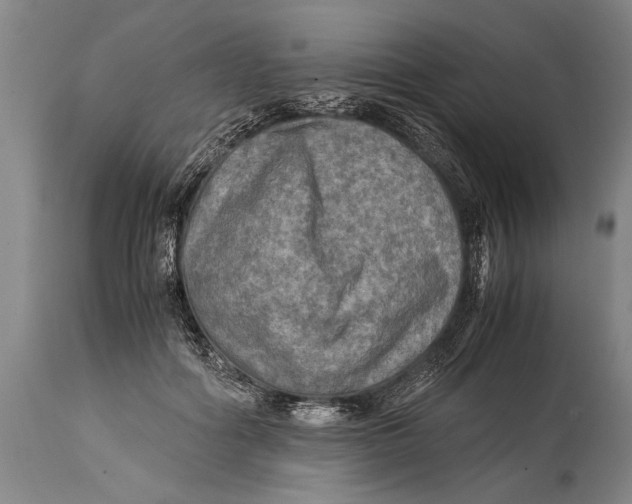 X0000114560602200911161226
