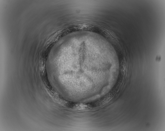 X0000114560607200911161226