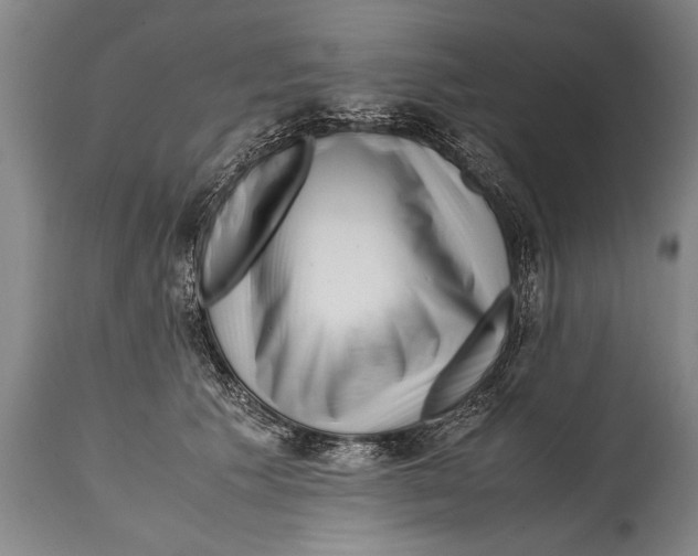 X0000114560609200911161225