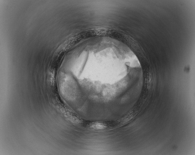 X0000114560610200911161225